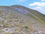 P. dardanus habitat, Slavyanka Mtn., 9th July 2012.